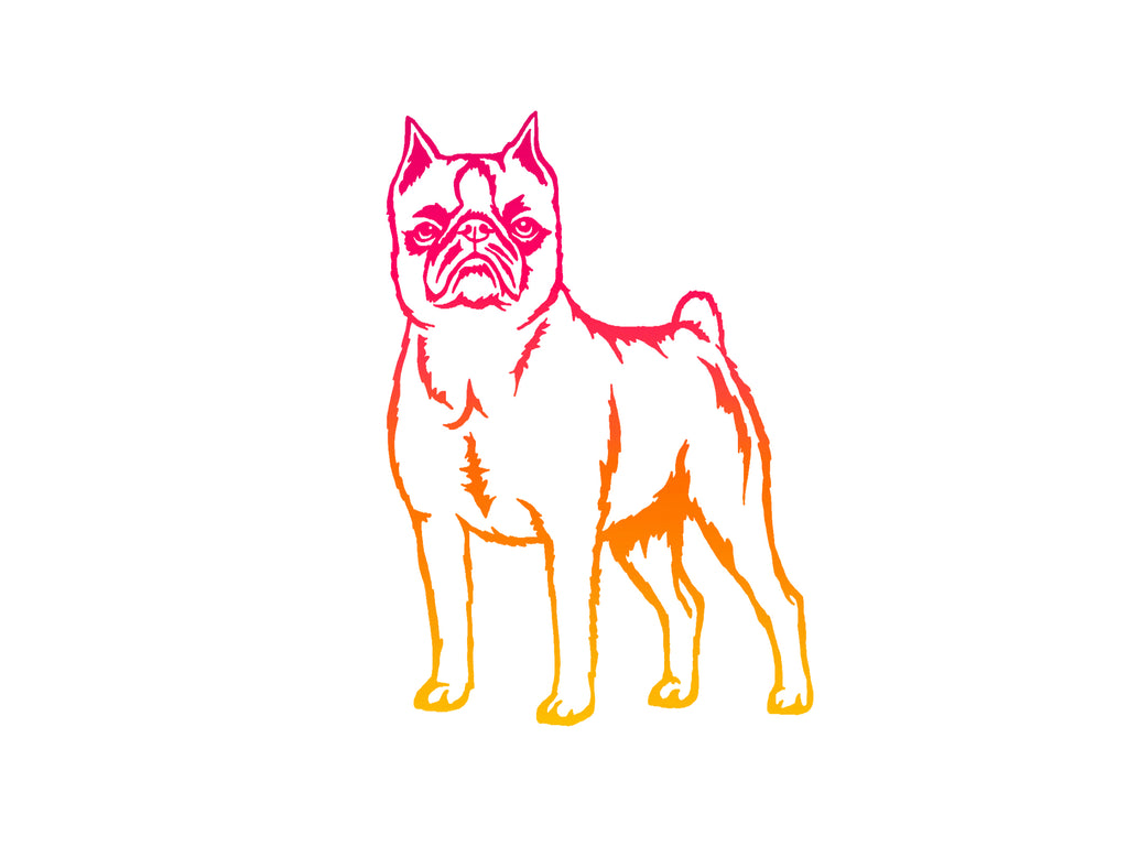Brussels Griffon Decal