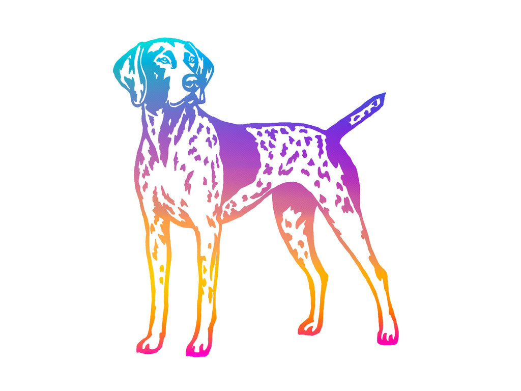 German Shorthaired Pointer Decal