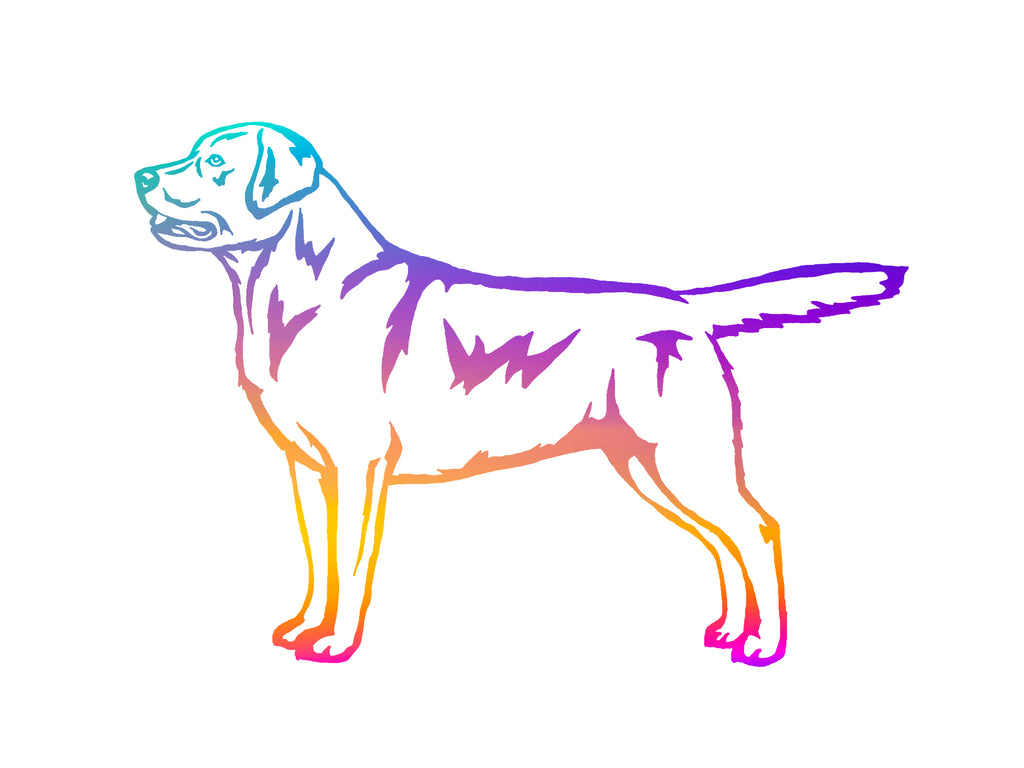 Labrador Retriever Decal