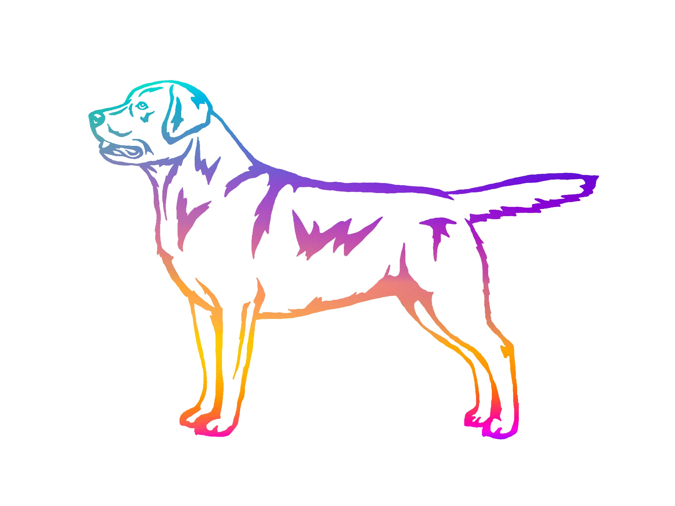 Labrador Retriever Decal
