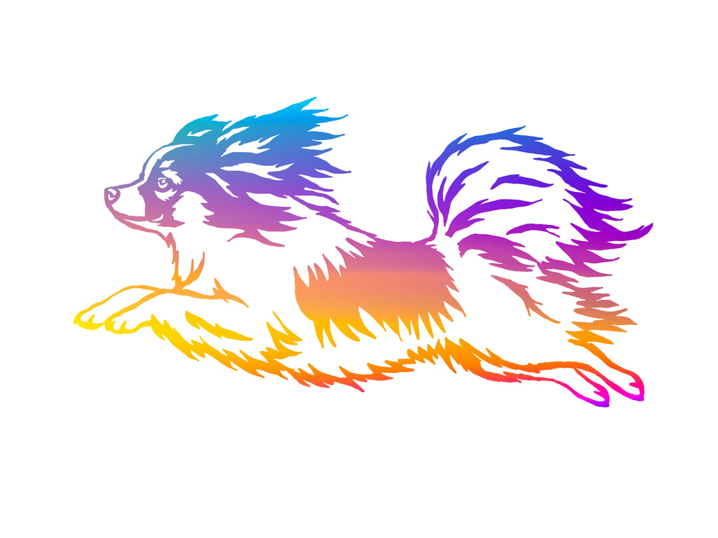 Papillon Decal
