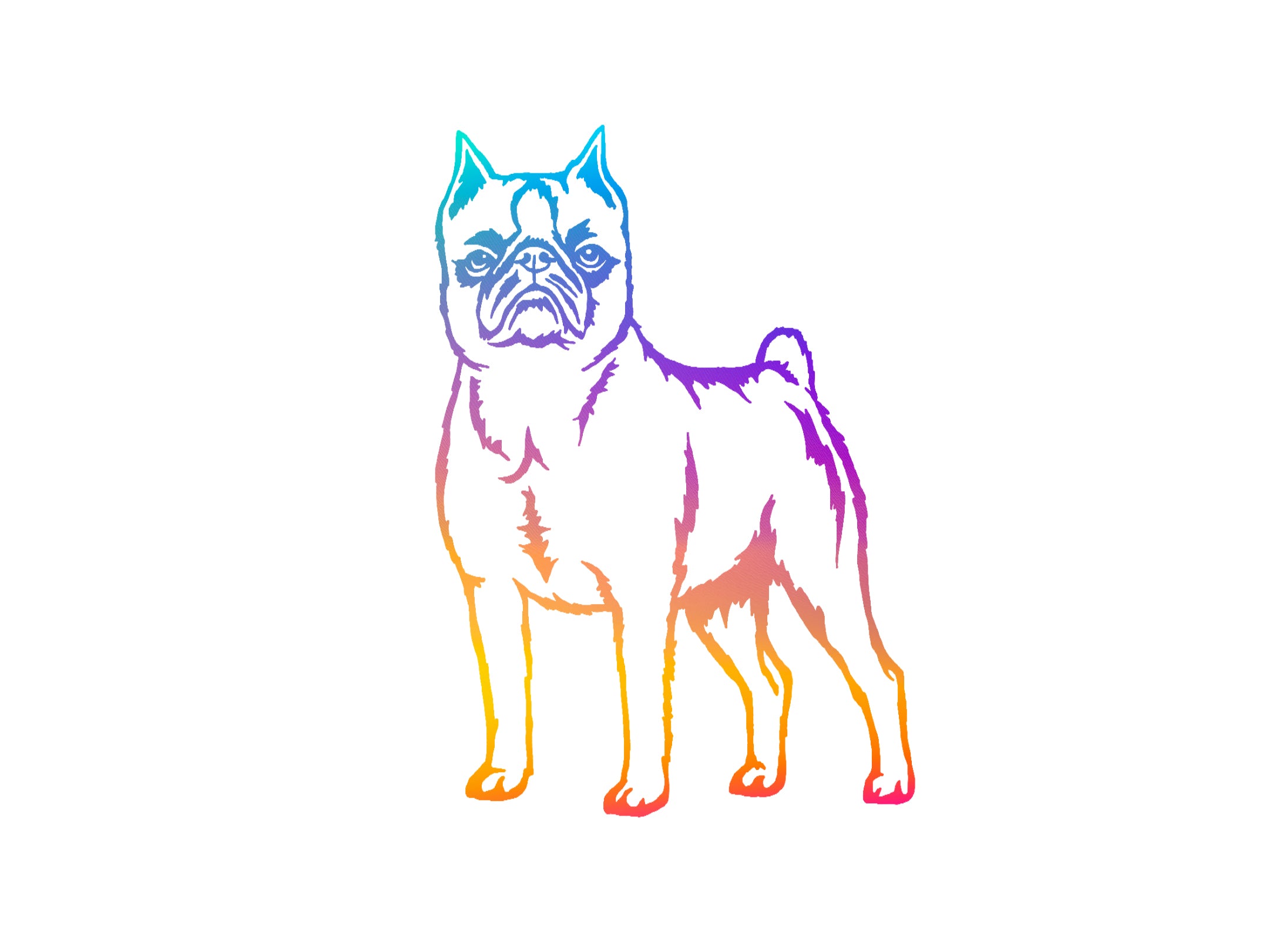 Brussels Griffon Decal