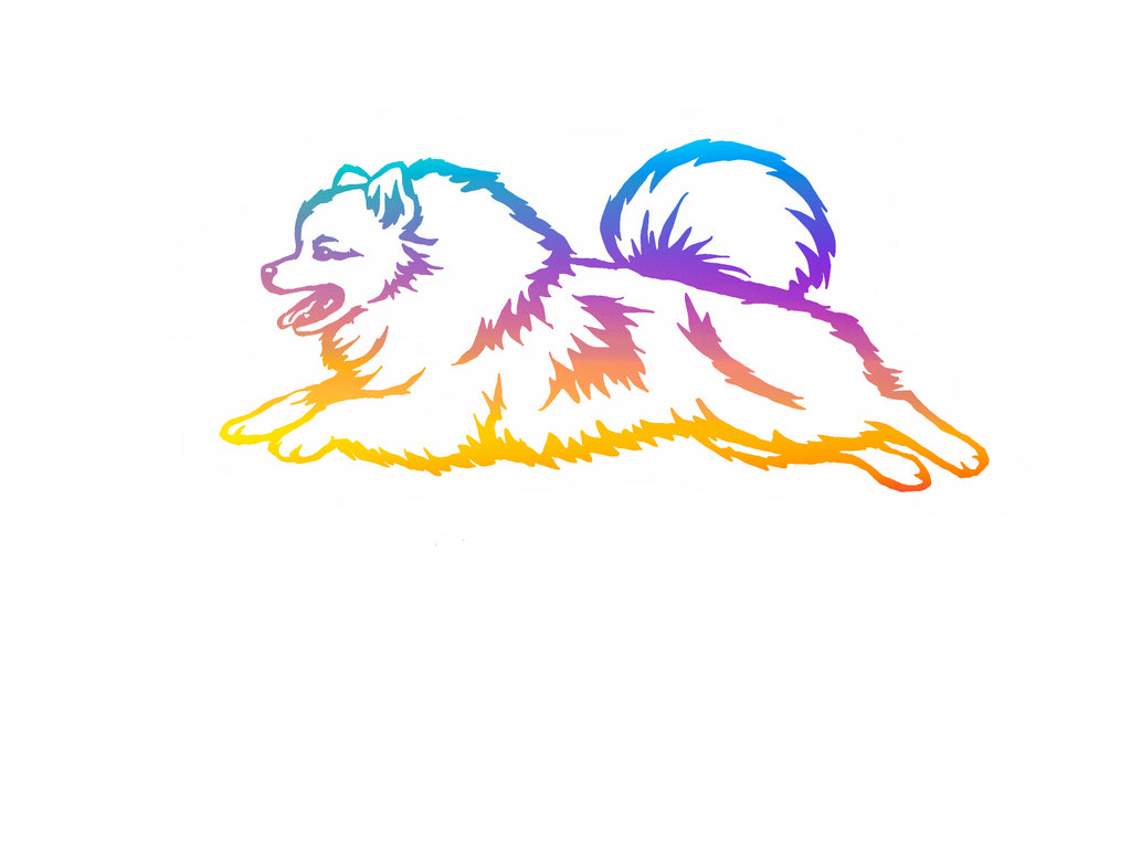 Pomeranian Agility Decal
