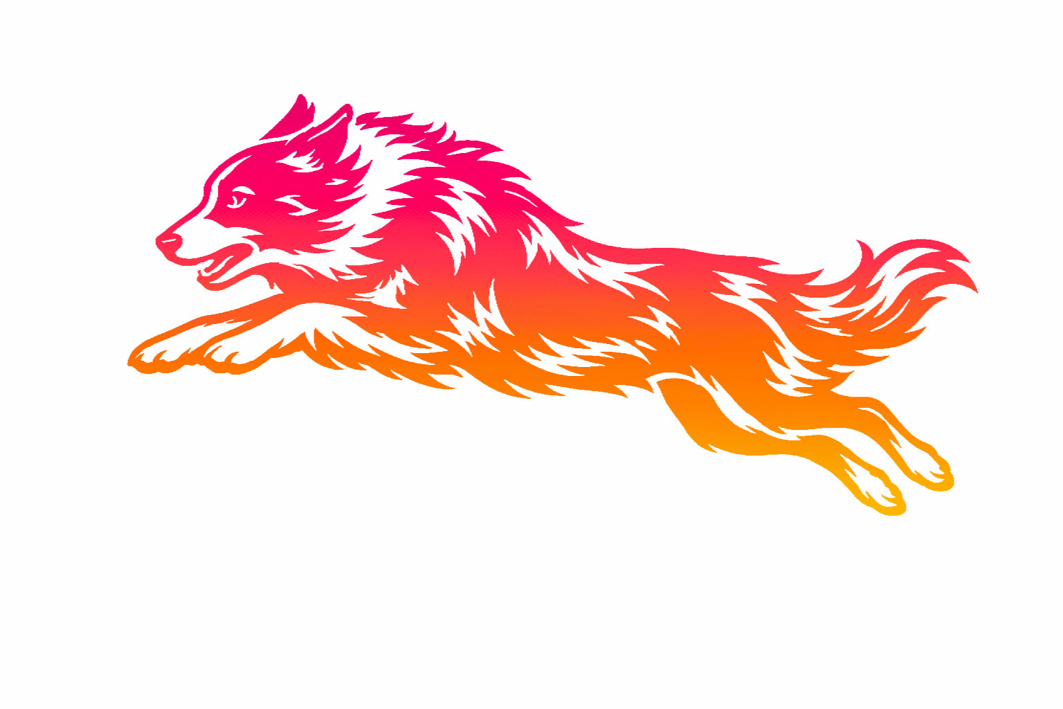 Border Collie Agility Decal