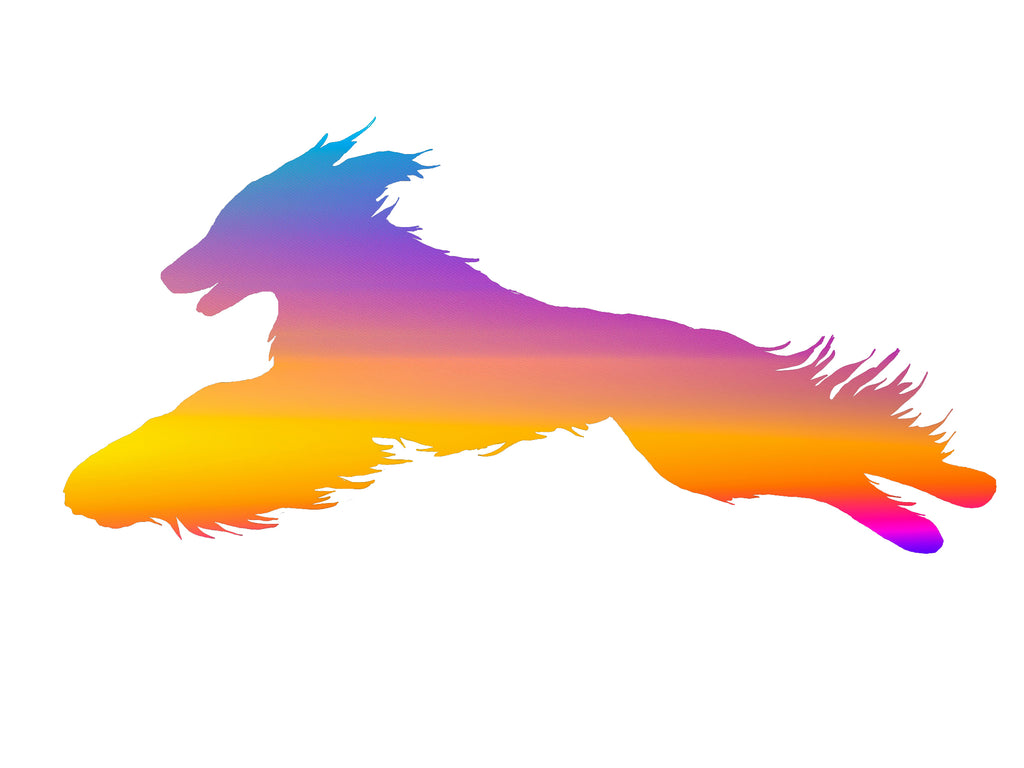 Afghan Hound Lure Coursing Decal