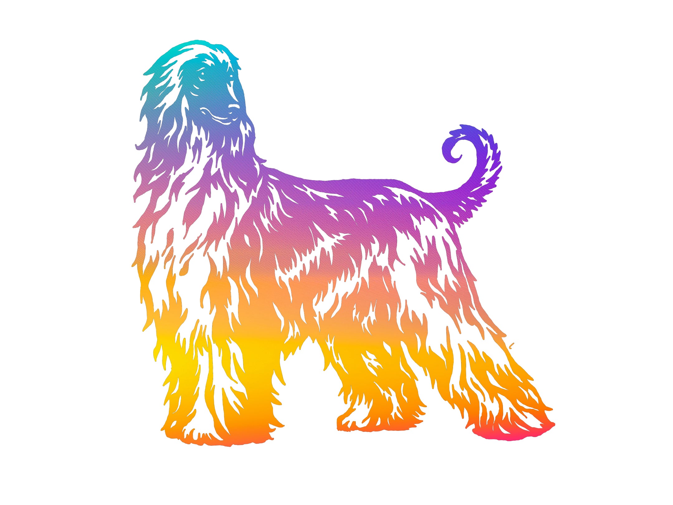 Afghan Hound Ombre Decal