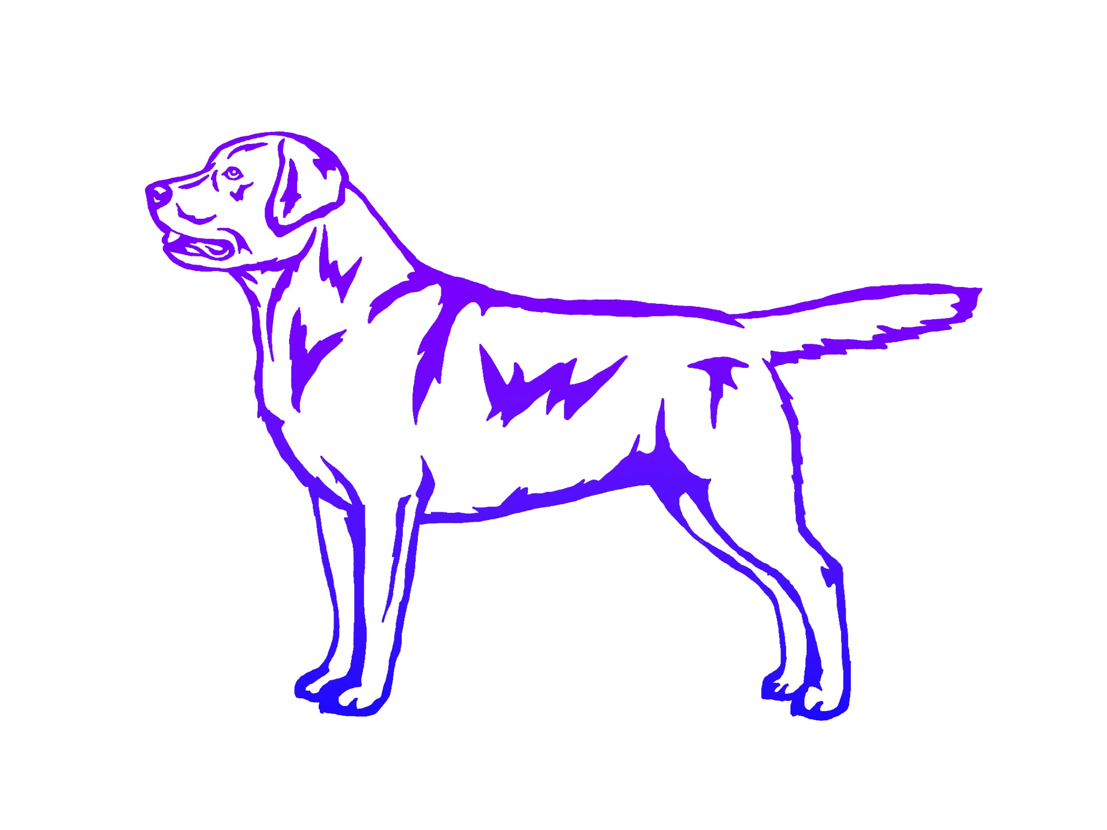 Labrador Retriever Decal