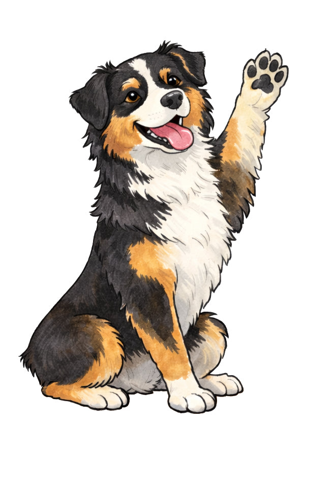 Australian Shepherd Magnet