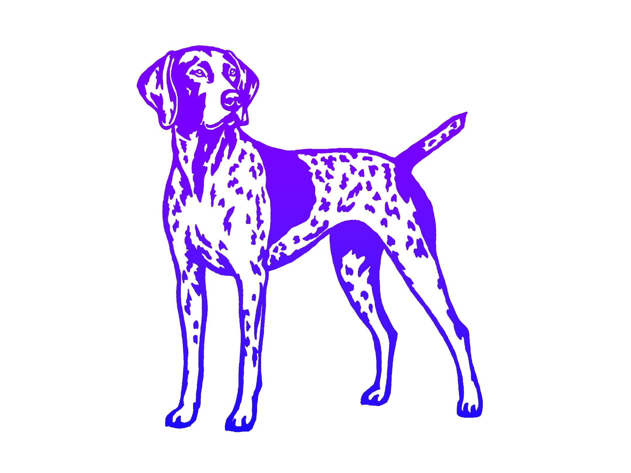 German Shorthaired Pointer Decal