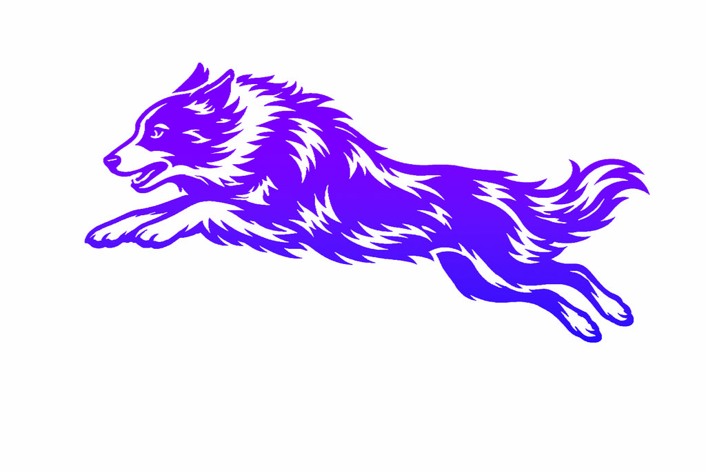 Border Collie Agility Decal