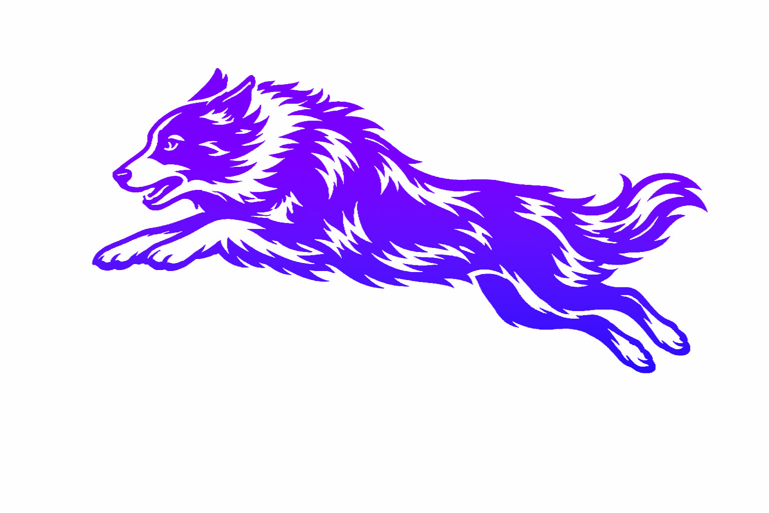 Border Collie Agility Decal