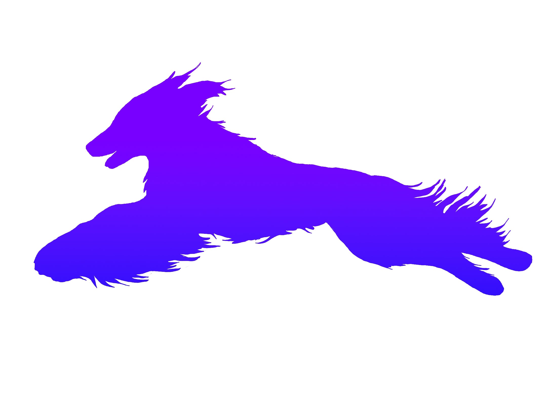 Afghan Hound Lure Coursing Decal