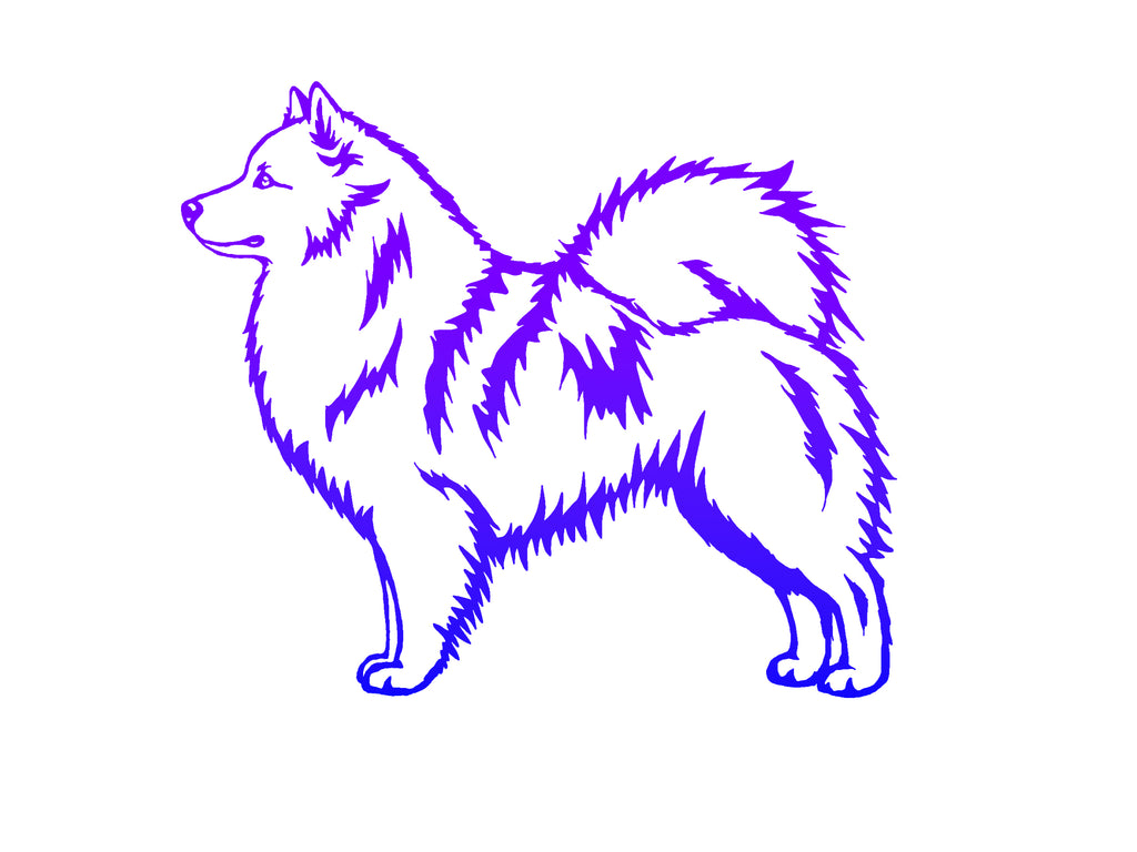 Icelandic Sheepdog Decal