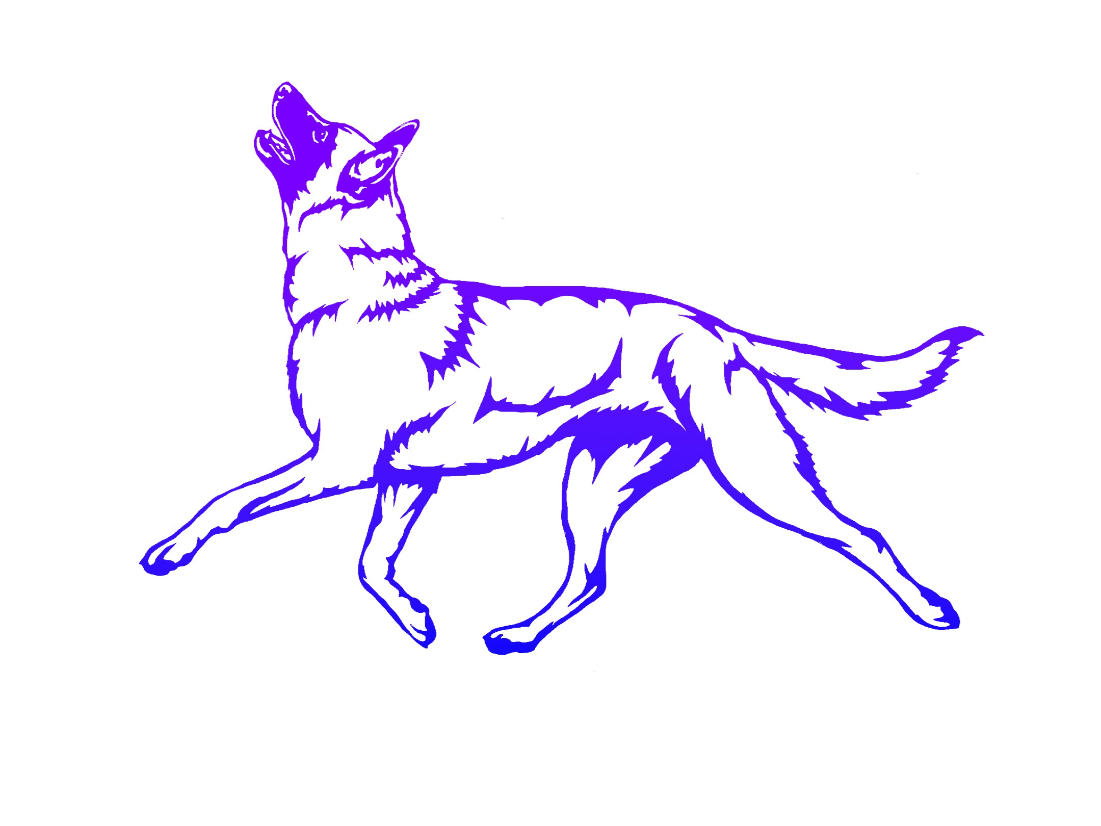 Belgian Malinois Obedience Decal