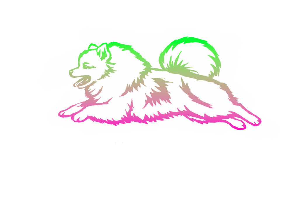 Pomeranian Agility Decal