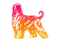 Afghan Hound Ombre Decal