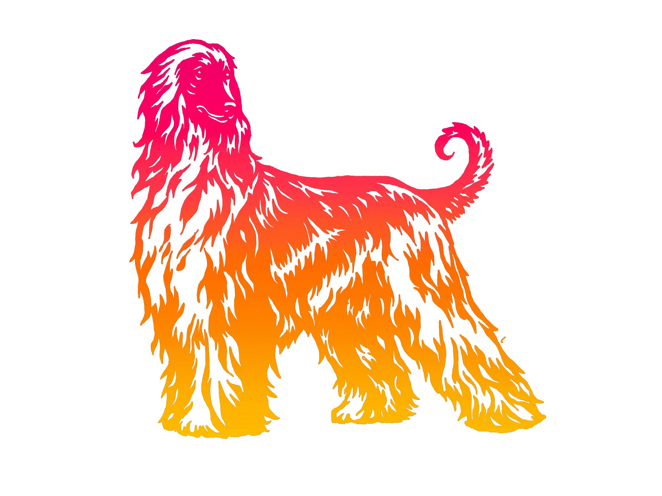 Afghan Hound Ombre Decal